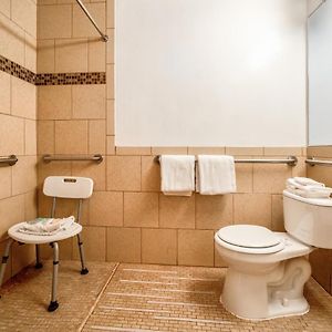King Room Disability Access
